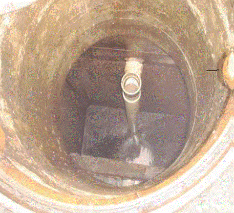 Fats Oil and Grease in Pipes